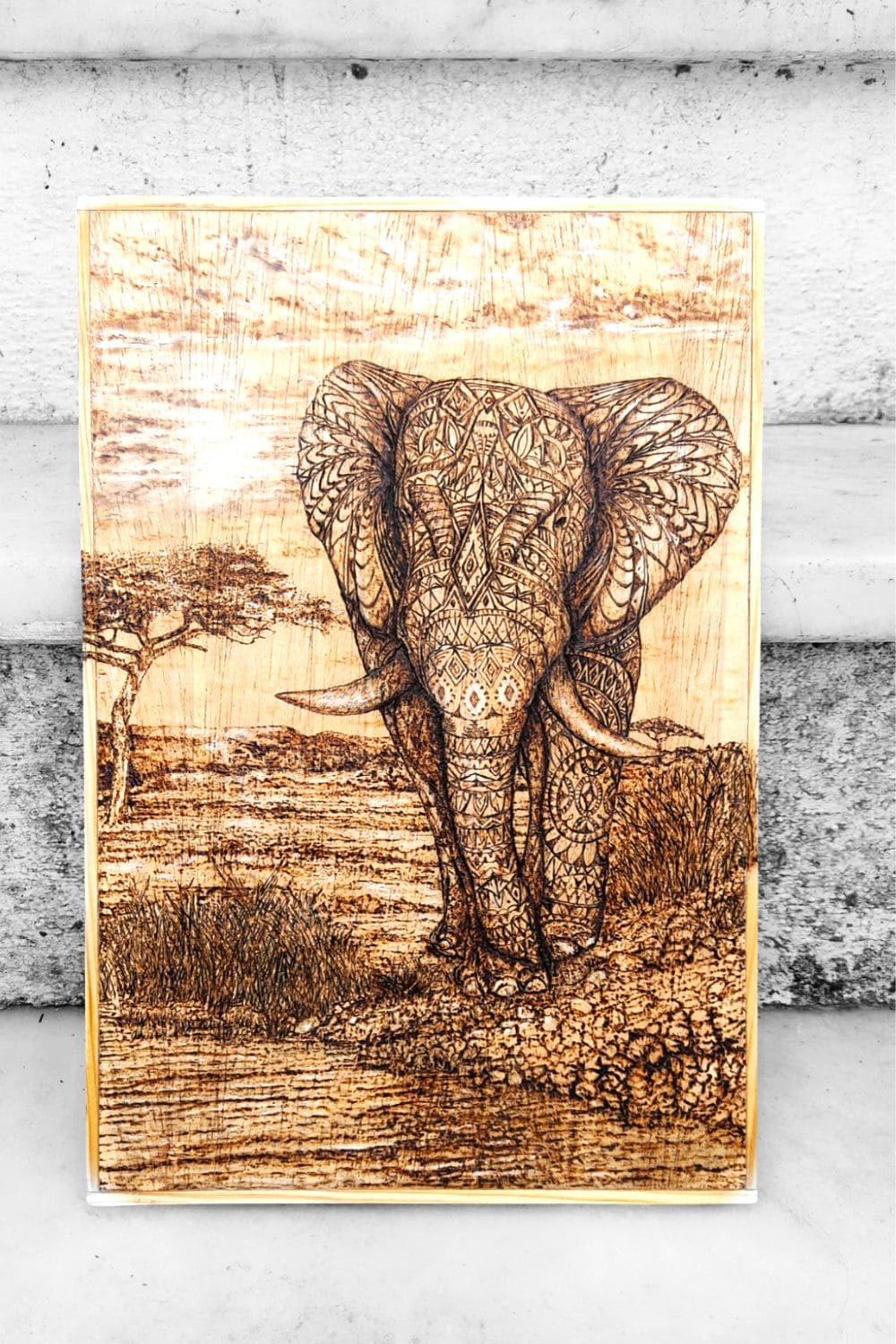 Elefante